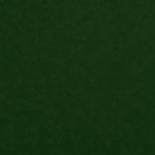 Load image into Gallery viewer, My Field of Dreams "Vintage Edition" Homeplate Shaped Display Case