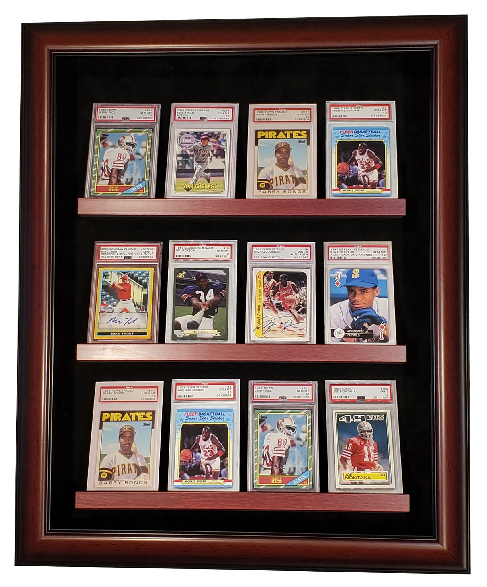 12 Graded Card Display Case Heroes on Display 12 Graded Card Display Case Heroes on Display